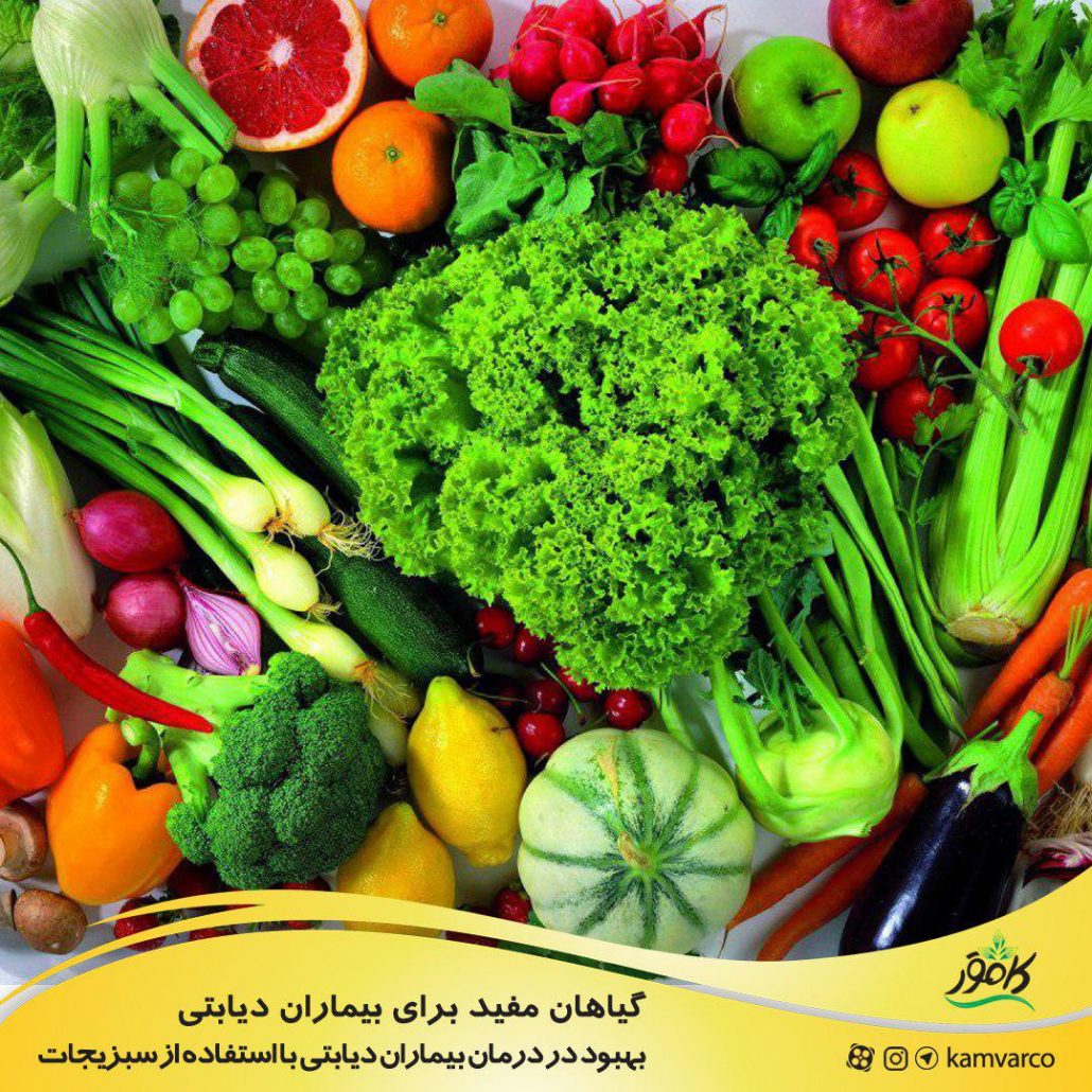 گیاهان مفید برای بیماران دیابتی