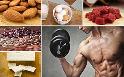 مواد غذایی برای عضله سازی، تقویت عضله پیشگیری از تحلیل عضلات, ساخت عضلات و کاهش چربی