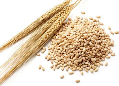 اهداف رژیم غذایی دیابت، بالا رفتن قندخون رژیم غذایی دیابت افراد چاق, رژیم غذایی دیابت نوع دوم