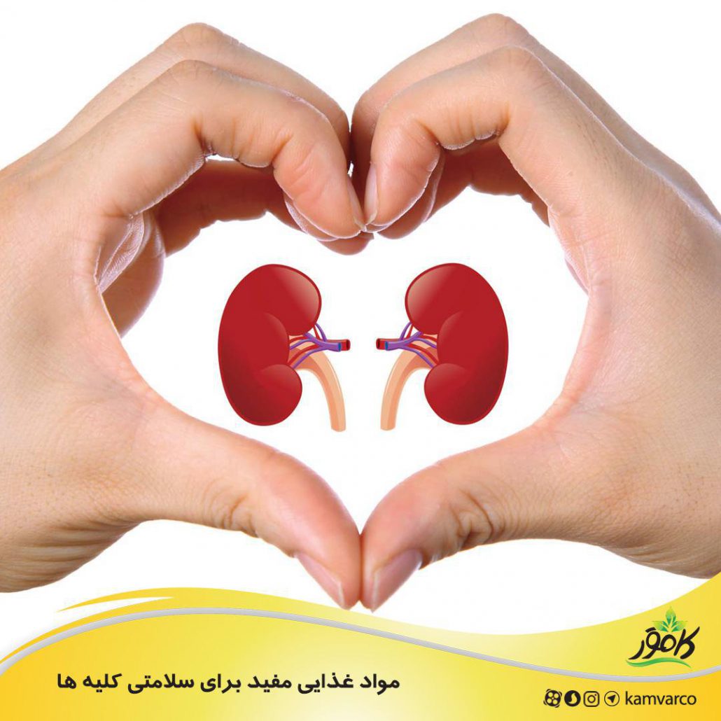 مواد غذایی مفید برای سلامتی کلیه ها
