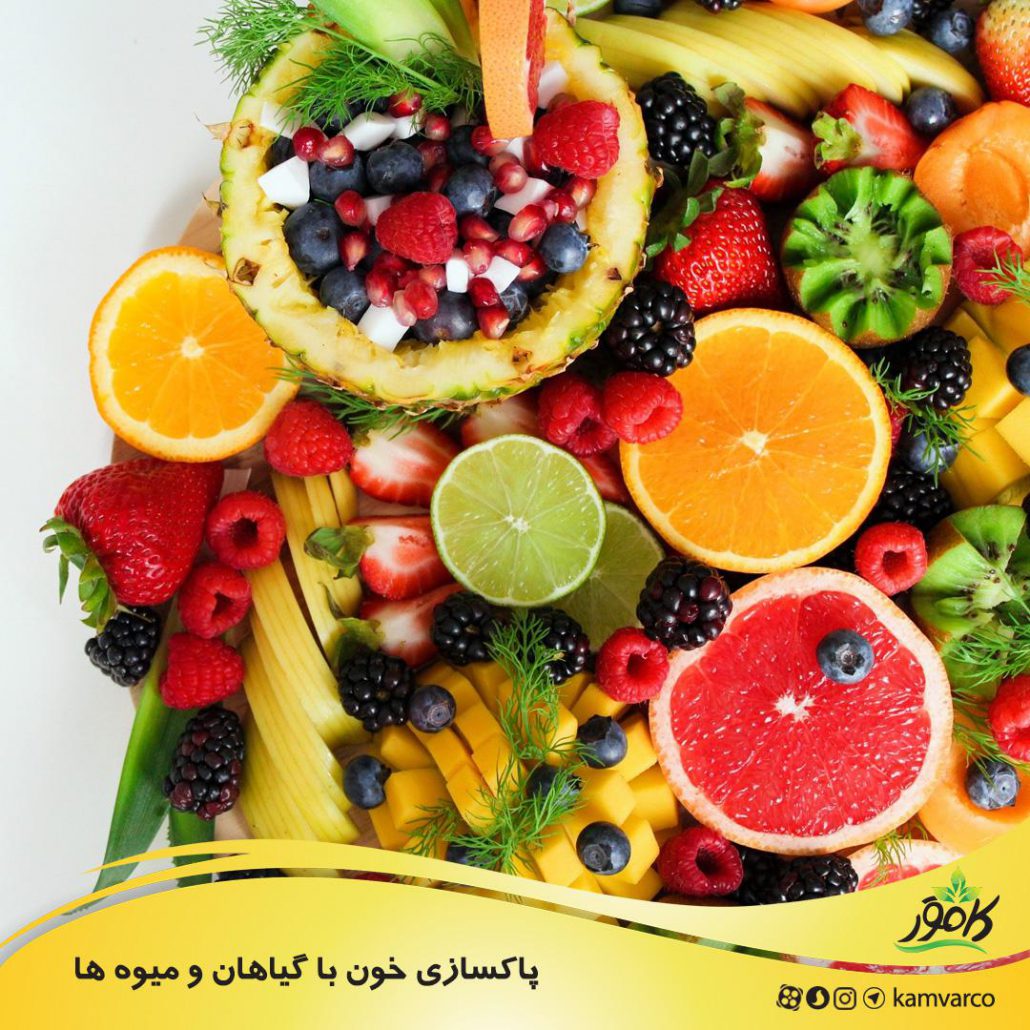 پاکسازی خون با گیاهان و میوه ها