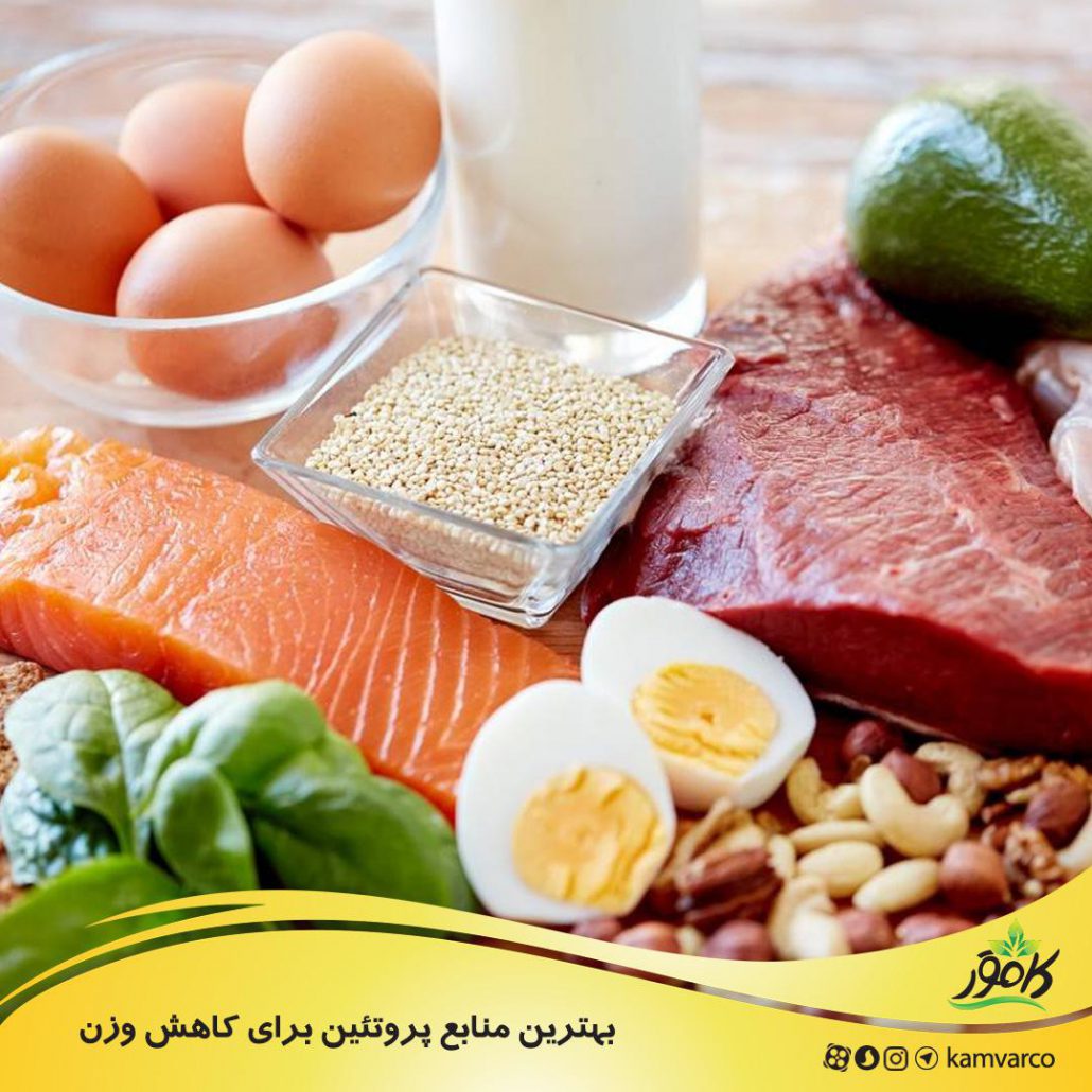 بهترین منابع پروتئین برای کاهش وزن