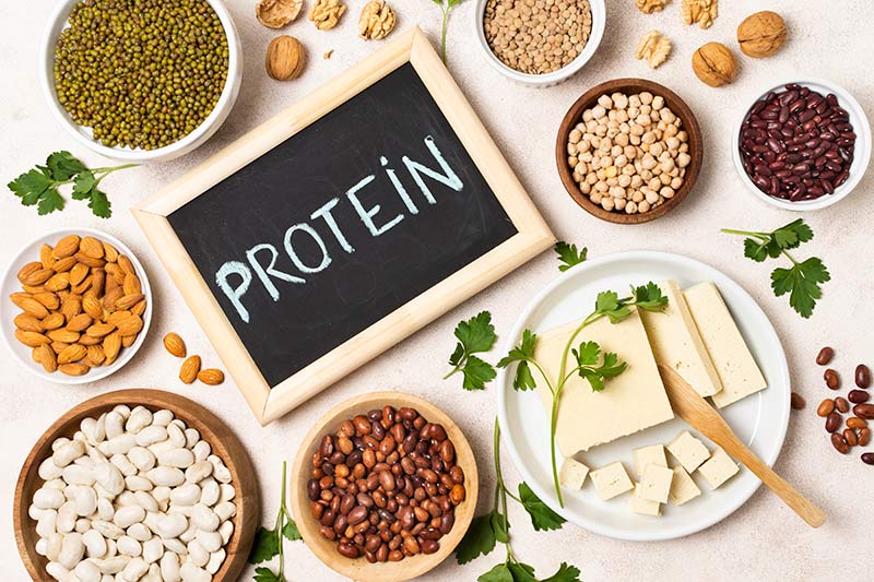 لیست بهترین منابع پروتئین برای کاهش وزن