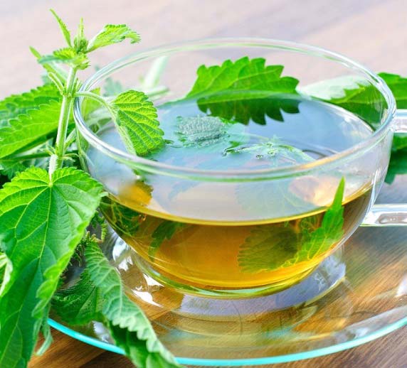 خواص دارویی گزنه برای دیابت