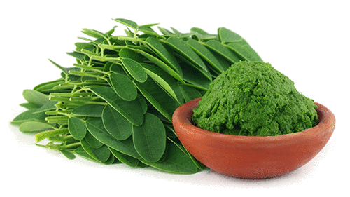 خواص مورینگا برای دیابتی ها