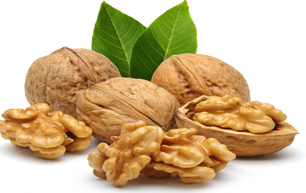 خواص داروئی گردو