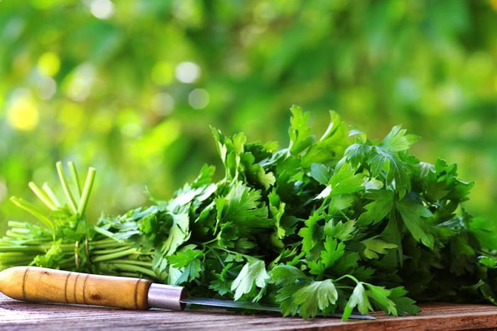 خواص گشنیز برای بیماران دیابتی