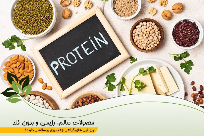 پروتئین های گیاهی چه تاثیری بر سلامتی دارند؟